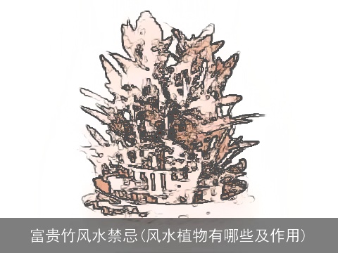 富贵竹风水禁忌(风水植物有哪些及作用)