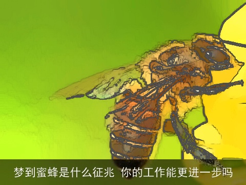 梦到蜜蜂是什么征兆 你的工作能更进一步吗