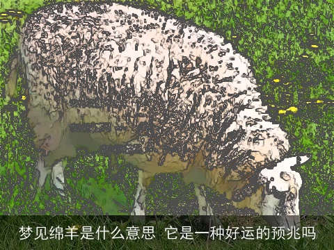梦见绵羊是什么意思 它是一种好运的预兆吗