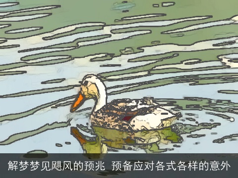 解梦梦见飓风的预兆 预备应对各式各样的意外