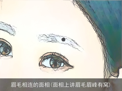 眉毛相连的面相(面相上讲眉毛眉峰有窝)