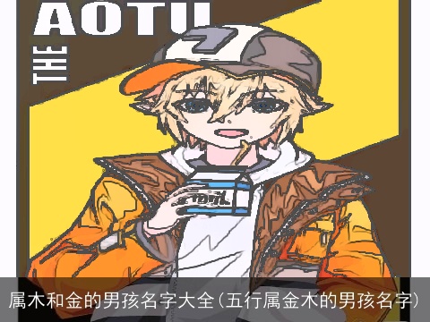 属木和金的男孩名字大全(五行属金木的男孩名字)