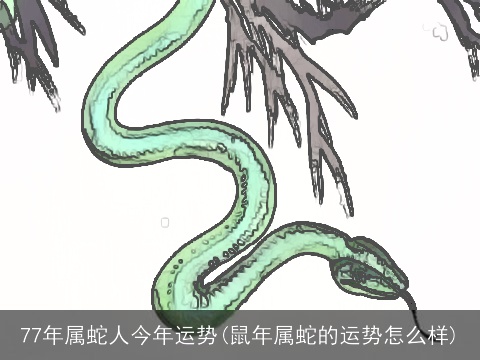 77年属蛇人今年运势(鼠年属蛇的运势怎么样)