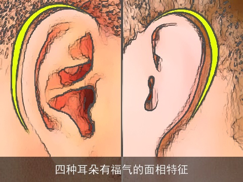 四种耳朵有福气的面相特征