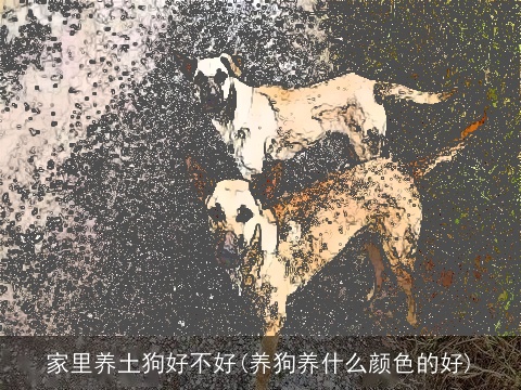 家里养土狗好不好(养狗养什么颜色的好)