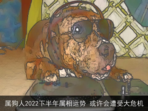 属狗人2022下半年属相运势 或许会遭受大危机