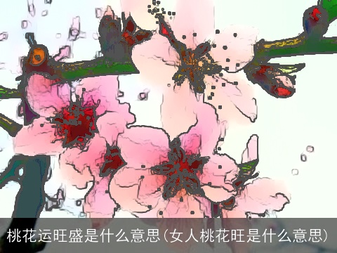 桃花运旺盛是什么意思(女人桃花旺是什么意思)
