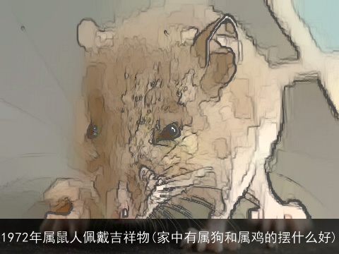 1972年属鼠人佩戴吉祥物(家中有属狗和属鸡的摆什么好)