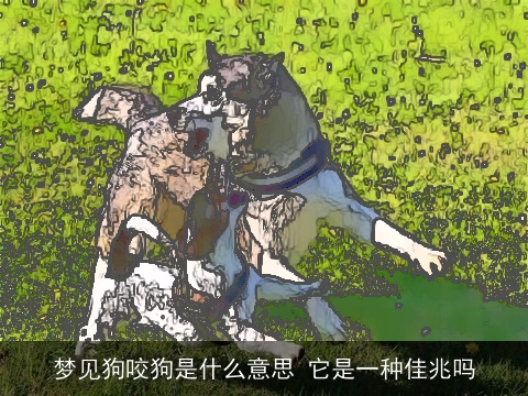 梦见狗咬狗是什么意思 它是一种佳兆吗