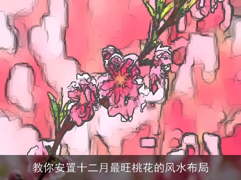 教你安置十二月最旺桃花的风水布局