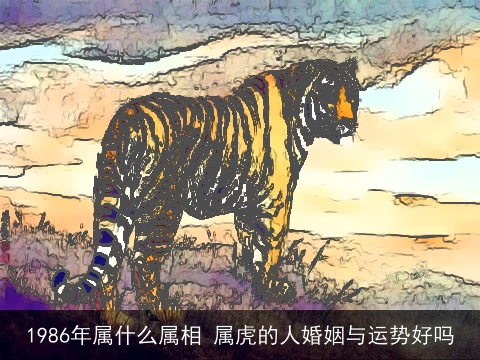 1986年属什么属相 属虎的人婚姻与运势好吗