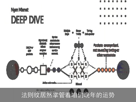 法则纹居然掌管着咱们晚年的运势