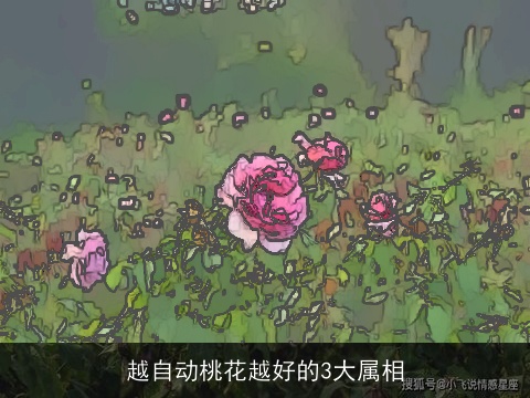 越自动桃花越好的3大属相