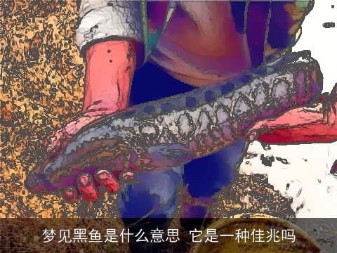 梦见黑鱼是什么意思 它是一种佳兆吗