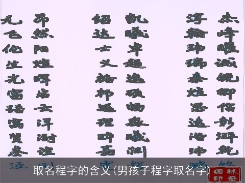 取名程字的含义(男孩子程字取名字)