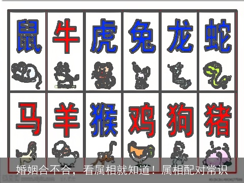 婚姻合不合，看属相就知道！属相配对常识