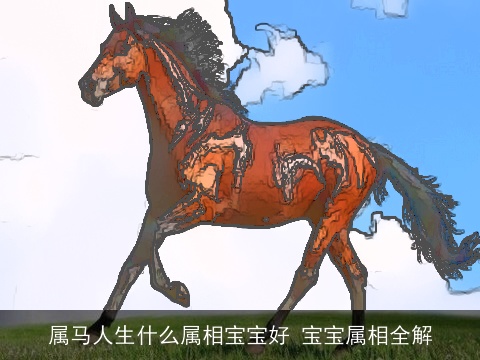 属马人生什么属相宝宝好 宝宝属相全解