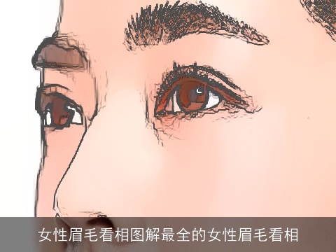 女性眉毛看相图解最全的女性眉毛看相