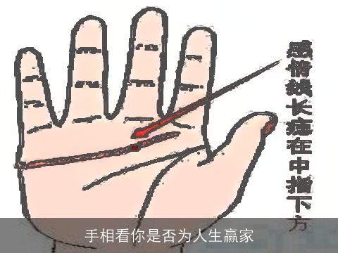 手相看你是否为人生赢家