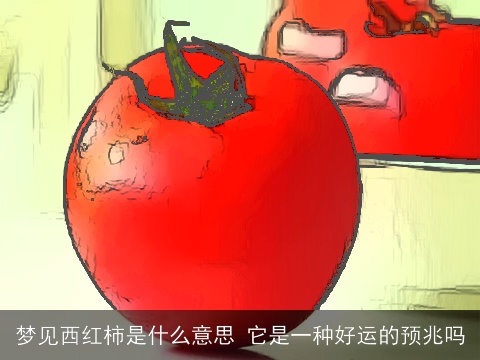 梦见西红柿是什么意思 它是一种好运的预兆吗