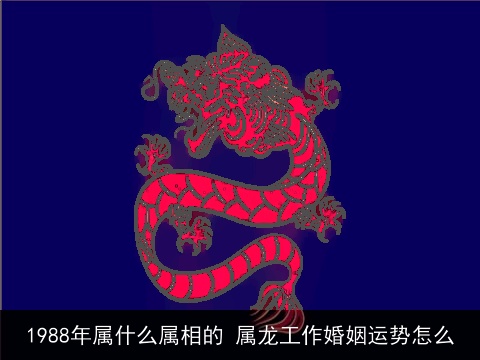 1988年属什么属相的 属龙工作婚姻运势怎么
