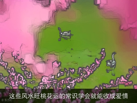 这些风水旺桃花运的常识学会就能收成爱情