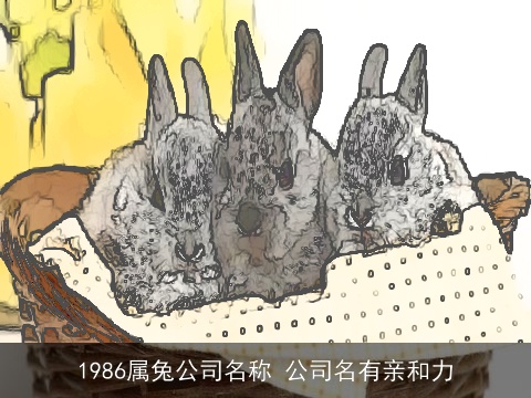 1986属兔公司名称 公司名有亲和力