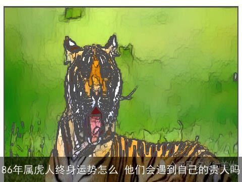 86年属虎人终身运势怎么 他们会遇到自己的贵人吗