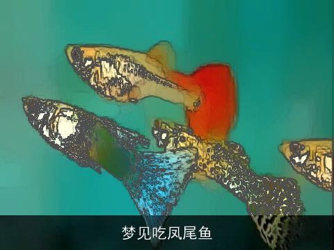 梦见吃凤尾鱼