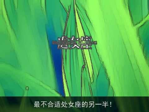 最不合适处女座的另一半！