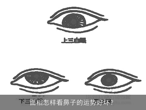 面相怎样看鼻子的运势好坏？