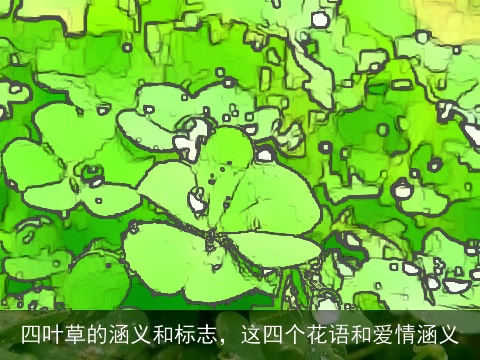 四叶草的涵义和标志，这四个花语和爱情涵义