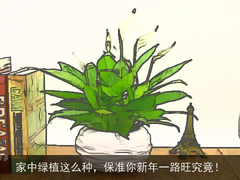 家中绿植这么种，保准你新年一路旺究竟！