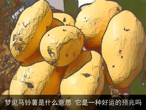 梦见马铃薯是什么意思 它是一种好运的预兆吗