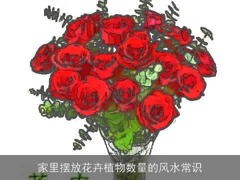 家里摆放花卉植物数量的风水常识
