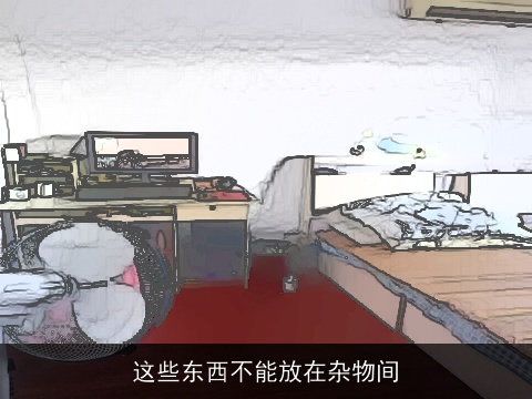 这些东西不能放在杂物间