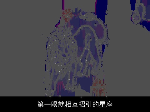 第一眼就相互招引的星座