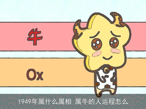 1949年属什么属相 属牛的人运程怎么