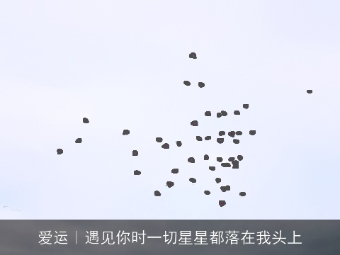 爱运｜遇见你时一切星星都落在我头上