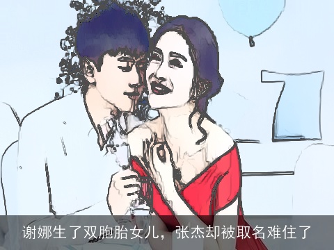 谢娜生了双胞胎女儿，张杰却被取名难住了