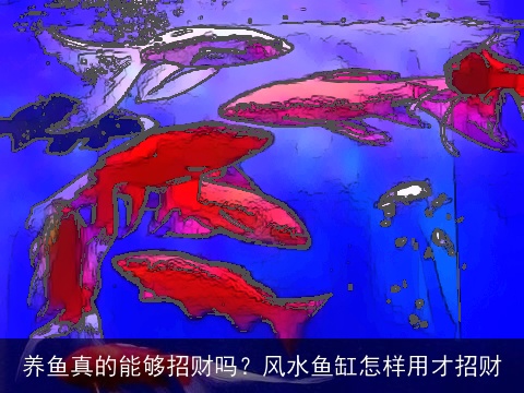 养鱼真的能够招财吗？风水鱼缸怎样用才招财