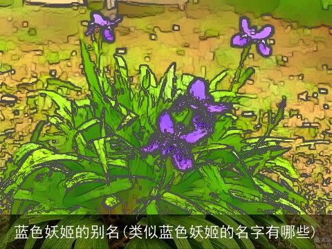 蓝色妖姬的别名(类似蓝色妖姬的名字有哪些)