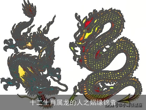 十二生肖属龙的人之姻缘锦囊