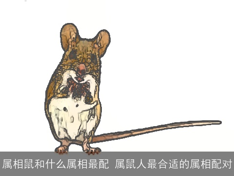 属相鼠和什么属相最配 属鼠人最合适的属相配对