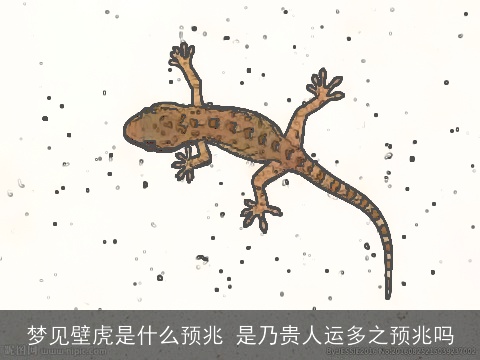 梦见壁虎是什么预兆 是乃贵人运多之预兆吗