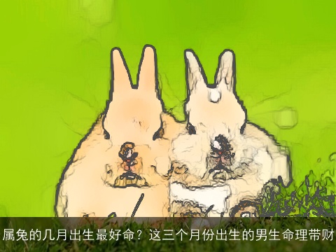 属兔的几月出生最好命？这三个月份出生的男生命理带财