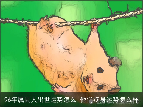 96年属鼠人出世运势怎么 他们终身运势怎么样