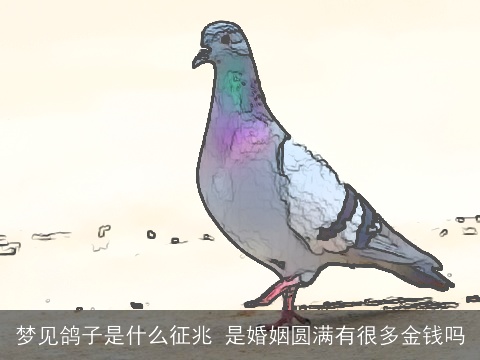 梦见鸽子是什么征兆 是婚姻圆满有很多金钱吗