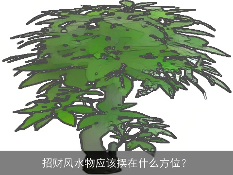 招财风水物应该摆在什么方位？