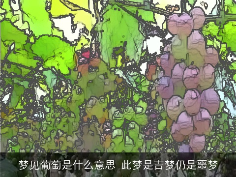 梦见葡萄是什么意思 此梦是吉梦仍是噩梦
